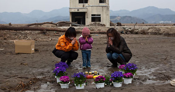 Another Earthquake, Tsunami Hit Japan